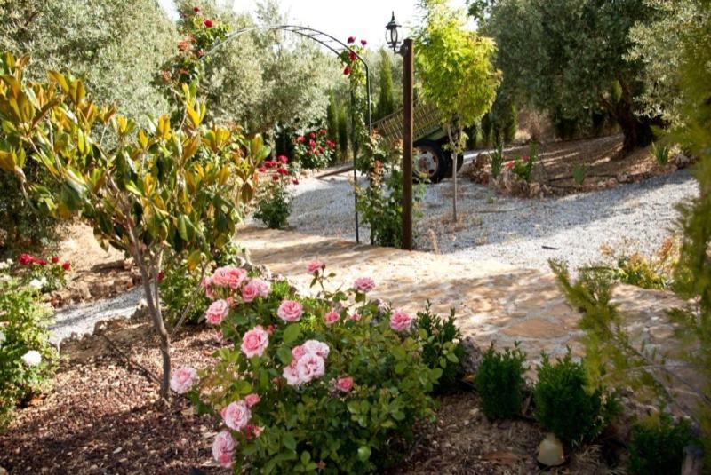 Casas Rurales Cazorla-Alcón Pozo Alcón Habitación foto